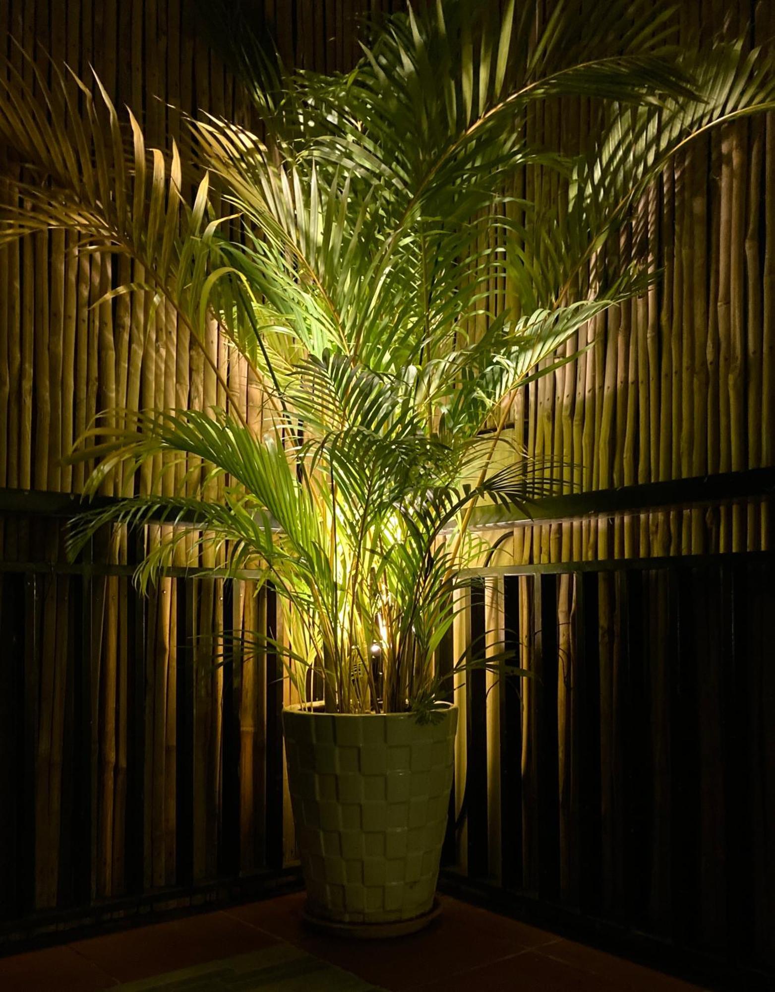 Lotus Haven Villa Siem Reap Esterno foto