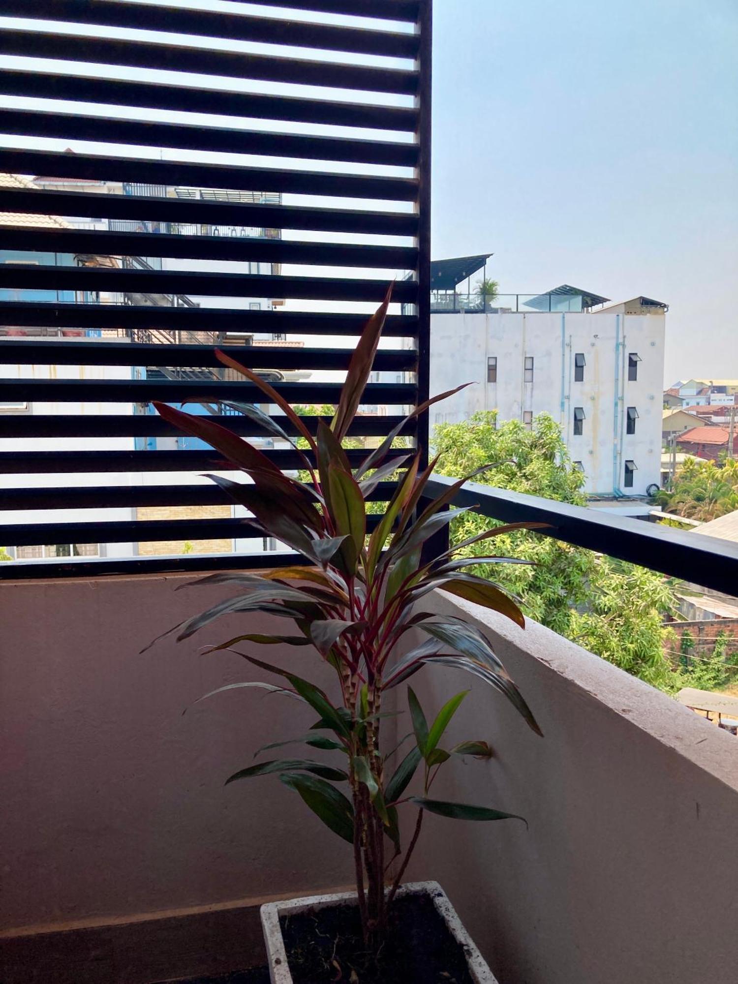 Lotus Haven Villa Siem Reap Esterno foto